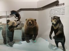 -长江文明馆