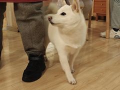-柴の食堂·日式家庭料理·熊之肆(大学路店)