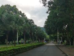 -风云岭森林公园