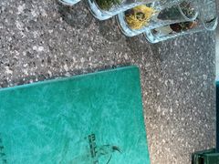 -马老六清真餐厅(雁滩店)