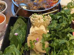 -刘一锅筋头巴脑(小北店)