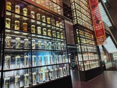 -广东中医药博物馆