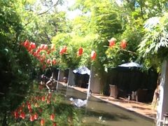 -西涌国际滨海旅游区