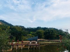 -神光山国家森林公园