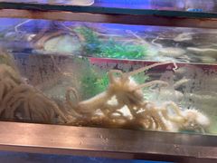 -V-ONE西雅图海鲜自助餐厅(仓山万达广场店)