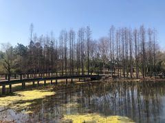-长广溪湿地公园