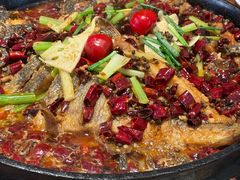 -老板恋上鱼(恒隆广场店)