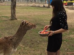 秦岭野生动物园-西安秦岭野生动物园