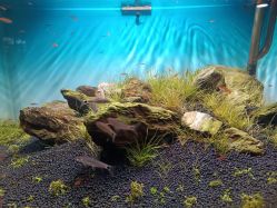 -青木造型HAIR·あおき髪を刈る潮人店