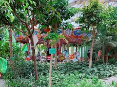 -南宫五洲植物乐园