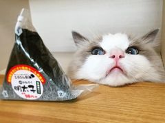 -麦当劳(世纪汇广场店)