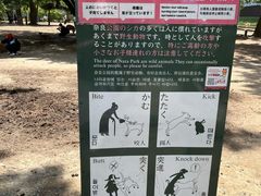 -奈良公园