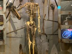 -信不信由你博物馆