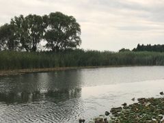 -太湖湖滨国家湿地公园-停车场