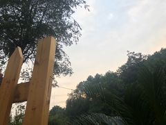 -缙云山景区