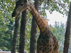 -大连森林动物园