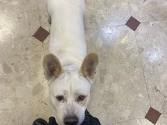 -小桃源酒家(罗湖商业城店)