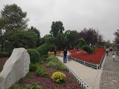 -铁山坪森林公园