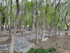 -塘沽森林公园