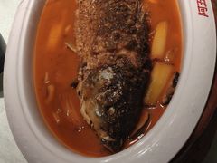 -阿五黄河大鲤鱼(纬三路店)