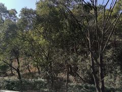 -北仑森林植物园