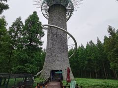 -黄海国家森林公园