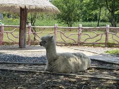-昆山城市生态森林公园