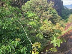 -武夷山风景名胜区-虎啸岩