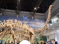 -自贡恐龙博物馆