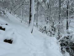 -四明山国家森林公园