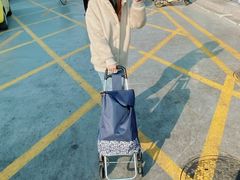 -何庄子阿米玛玛农产品批发市场