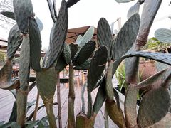 -悦哉·派对·草坪婚礼·围炉煮茶(三圣乡店)
