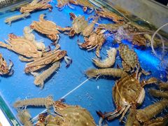 -悦巷海鲜自助铁板烧(秦皇东大街店)