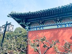 -阅江楼风景区