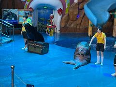 -烟台海昌鲸鲨海洋公园