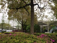 -上海汽车会展中心