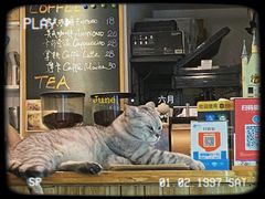 -隅cafe(傅厚岗店)