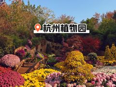 -杭州植物园