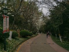 -南京古林公园