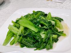 油麦菜-大东海海鲜酒楼(渔人码头总店)