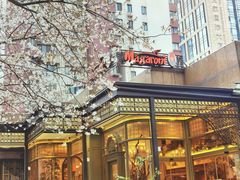 -玛格萝妮比萨屋(四平店)