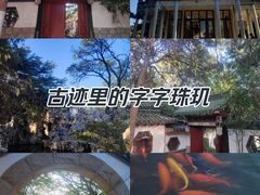 -南山公园