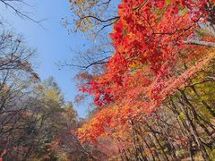 -关门山森林公园