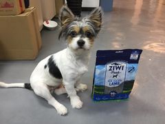 -爱诺耐芙动物医院(万博店)