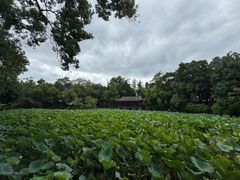 -房湖公园