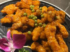 -前海沿·青岛菜(大拇指广场石老人店)