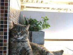 -B.O.M波姆烘焙(凤凰街店)