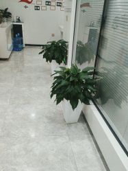 -悟空祛痘·诺奖技术专业店