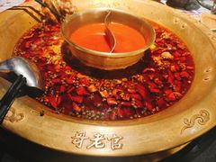 -哥老官重庆美蛙鱼头(日月光店)