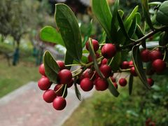 -皆道拌麻辣烫·麻辣拌